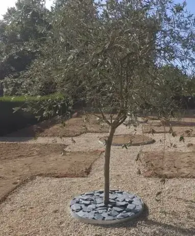 aménagement jardin Château-Renault-1