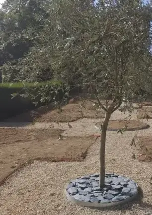 aménagement jardin Montoire-sur-le-Loir-1