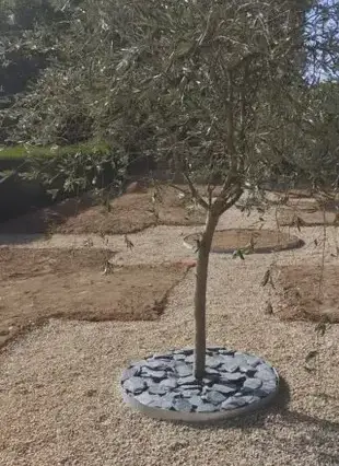 aménagement jardin Savigny-sur-Braye-1